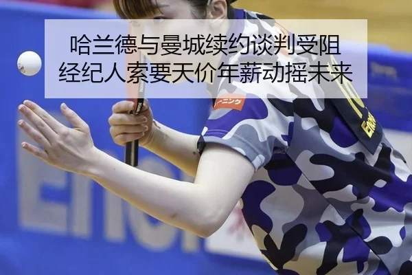 ha-lan-de-yu-man-cheng-xu-yue-tan-pan-shou-zu-jing-ji-ren-suo-yao-tian-jia-nian-xin-dong-yao-wei-lai-2-658.jpg