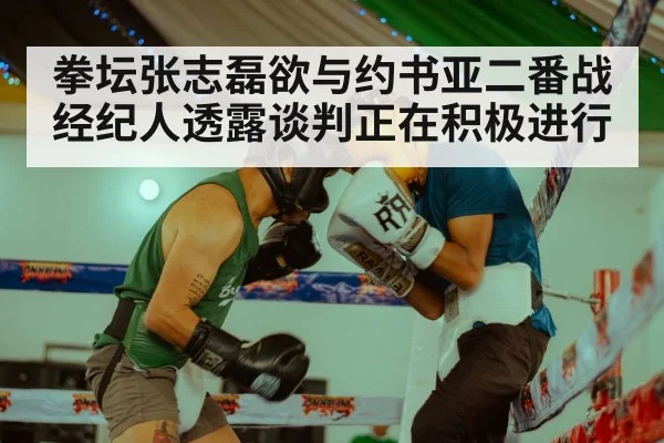 拳坛张志磊欲与约书亚二番战经纪人透露谈判正在积极进行